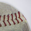 Two Seasons Baseball Dome Metal Sign (15")